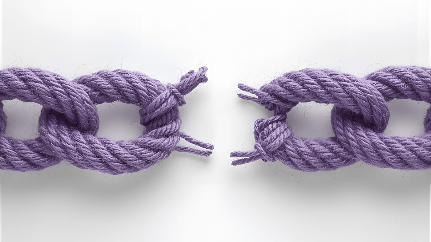 The Missing Link in Scaling Sustainable 
                                  Fashion Innovation